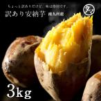 【2セット以上で送料無料】訳あり鹿児島産安納芋(あんのういも)1.6kg