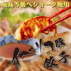 スペイン産 イベリコ豚 ベジョータ  餃子 タレ付 (20g×20個入) (ギョーザ ぎょうざ)