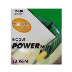 ゴーセン Gosen テニスラケット購入者用ガット張り バイオガットパワー１６ BIOGUT POWER1.29