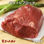 牛ヒレブロック　500gサイズ/牛フィレ肉（送料無料）牛肉ステーキ/ローストビーフ/焼肉/バーベキュー肉に