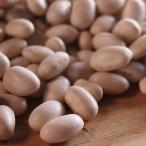 白いんげん（White Lobiya Beans）　1ｋｇパック