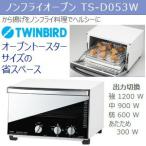 TWINBIRD TS-D053W