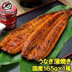 商品画像：国産 ウナギ うなぎ 蒲焼き 特大鰻 160～180g×1尾