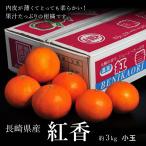 【新感覚！スーパー柑橘】 長崎産 紅香（べにかおり） 小玉サイズ 約3キロ（15～21玉）