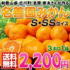 【柑橘名人が作る】 和歌山 名善園みかん Ｓ～SSサイズ 約3キロ ※産地直送、送料無料