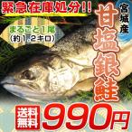 宮城県産 新巻銀鮭 １尾 約1キロ　冷凍