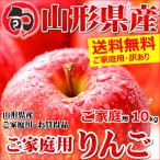 (10月上旬よりお届け開始 早期予約)サンふじリンゴ約10kg(30玉〜45玉前後）送料無料！りんご・林檎