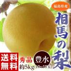 《送料無料》福島県産 相馬の梨（豊水） 秀品 12〜18玉　約5キロ 同梱不可