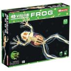 4D立体パズル動物解剖スケルトンモデル　カエル　Frog
