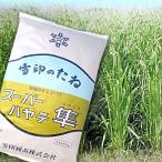 スーパーハヤテ 隼・エンバク（エン麦）1kg　緑肥/飼料/牧草作物/種