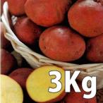 野菜・種/苗　 アンデス 　じゃがいも種芋・生もの種　量り売り3kg