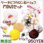 わんちゃん用プチカップケーキとマカロントリュフミニギフト950円,ドッグフード