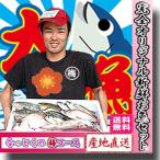 鮮魚 うまい魚のオーダーメイド福袋 梅コース 一万円ポッキリ／冷蔵便