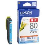 EPSON ICLC80
