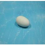 『小鳥の擬卵』