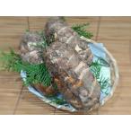 静岡産　海老芋（えびいも） Ｌサイズ　3本入（約1kg）