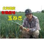 有機栽培　北海道産　玉ねぎ　約1kg