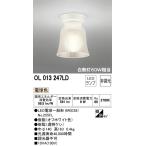 【期間限定SALE】オーデリック LED小型シーリングライト OL013247LDS