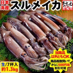 【日本海産】冷凍スルメイカ　中型×7ハイ 約2kg